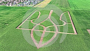 Ukrainian coat of arms Trident in the middle of a green field