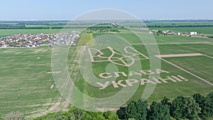 Ukrainian coat of arms Trident in the middle of a green field