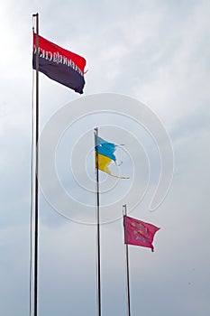 Ukrainian damaged flag, flag of Arms of Ukrainian Nationalists