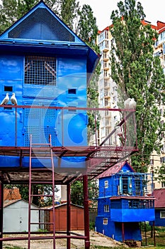 Ukrainian dovecote in Kiev in summer