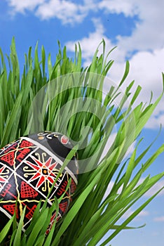 Ukrainian Easter Egg in the Grass