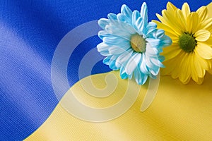 Ukrainian flag and blue-yellow flowers, idea concept