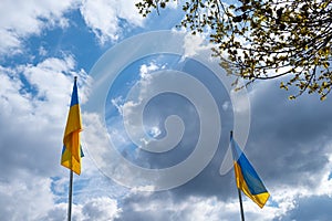 Ukrainian flags with a cloudy sky in the background