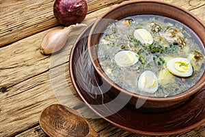 Ukrainian green borsch