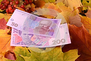 Ukrainian hryvnya money banknotes on leaves