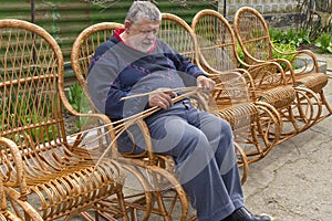 Ukrainian man sorting withe while making whicker rocking chair in summer garden