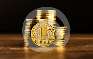 Ukrainian one hryvnia coin