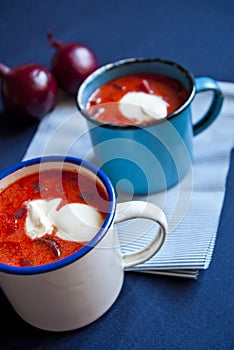 Ukrainian and russian national red soup borsch