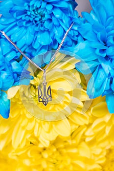 Ukrainian symbol trident on the background of blue and yellow chrysanthemums. War in Ukraine 2022. State coat of arms of