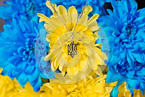 Ukrainian symbol trident on the background of blue and yellow chrysanthemums. War in Ukraine 2022. State coat of arms of