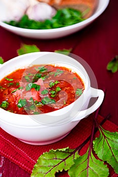 Ukrainian traditional borsch. Russian vegetarian red soup in white bowl on red wooden background. Borscht, borshch with beet.