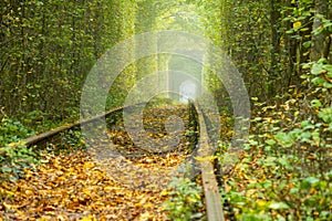 Ukrainian Tunnel of Love and Old Rails