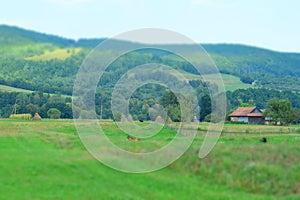 Ukrainian village in Carpathian Mountains