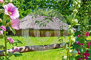 Ukrainian village landscape and fence with flowers mallows