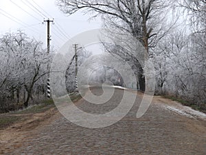 Ukrainian village in winter. Village road and trees in hoarfrost