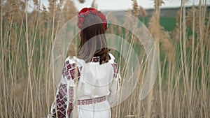Ukrainian woman from behind, she walking in embroidery vyshivanka dress on reed nature background. Symbol of Ukraine