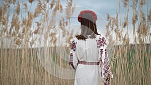 Ukrainian woman walking in embroidery vyshivanka dress on reed nature background. Symbol of Ukraine, national identity