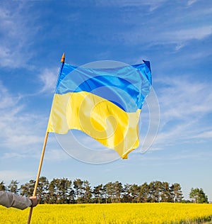 Ukrainian yellow-blue flag against backdrop of a blooming rapeseed field and a blue sky. Support Ukraine