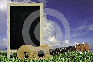 Ukulele with blue sky and Blank Blackboard on green grass.