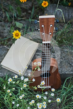 a ukulele and a book among wildflowers