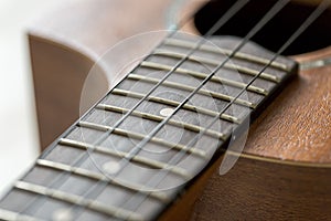 Ukulele Fretboard Close Up.