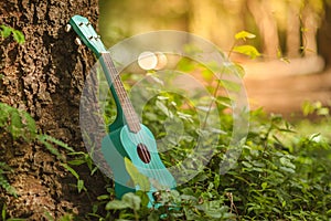 Ukulele guitar at the mountain nature pine forest