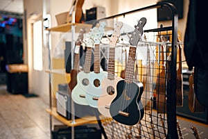 Ukulele guitars on showcase in music store
