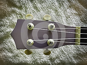 Ukulele headstock with tuning pegs use for set up sound