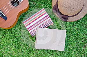 Ukulele lying on meadow with lovely hat and notebook.