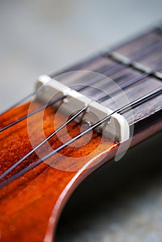 Ukulele nut and nylon string