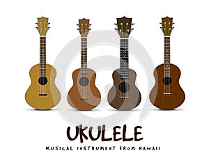 Ukulele vector illustration on white