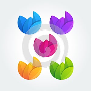 Fulcolor leaf Shape Vecto symbol Vector Template photo