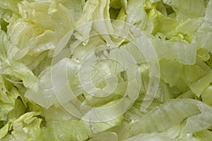 Ulienned lettuce food background