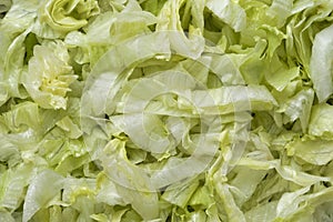 Ulienned lettuce food background