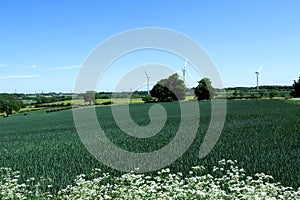 Ulley doorstep challenge walk, in Rotherham, South Yorkshire, England. photo