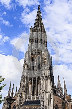 Ulm Munster photo