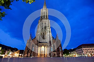 Ulm Munster at night