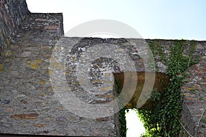 Ulmen, Germany - 08 09 2022: lants growing through a castle window