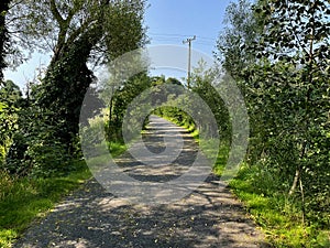 Ulster Canal walk in Clones, Monaghan, Ireland