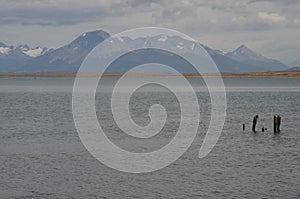 Ultima Esperanza Inlet and Sarmiento Mountain Range in the background.