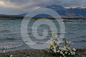 Ultima Esperanza Inlet and Sarmiento Mountain Range from Puerto Natales.