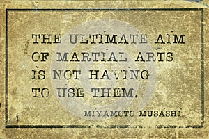 Ultimate aim Musashi