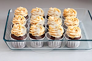 Ultimate chocolate dough cupcakes with peanut butter cream cheese frosting. Selective focus