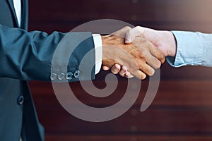 The ultimate greeting. two businesspeople shaking hands.