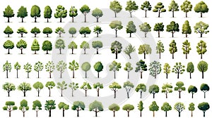 Ultimate large collection of simple stylized vector clipart of trees on white background