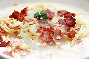 Ultimate Pasta  spaghetti carbonara recipe is Traditional Italian food  sprinkle on top with bacon  and Fresh Parsley in a cream