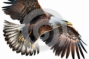 Ultra-detail Bald eagle perched. Watercolor predator animals wildlife