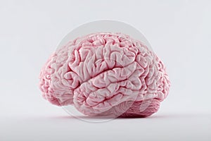 Pink Brain Model on White Surface