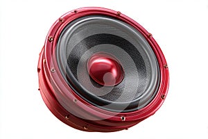 Isolated Professional Speaker on White Background