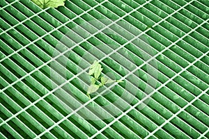 Ultra green colored square metal hatch in urban pavement, sewer manhole cover with marking lines and leaf inside